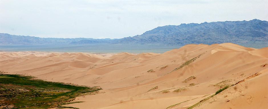Khongor sand dune