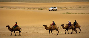 Golden Eagle Festival, Gobi Desert, Terelj & Hustai National Park