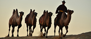 A Classic Journey of Mongolia