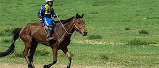 Taste of Mongolia with Naadam Festival