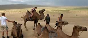 Gobi Desert tour
