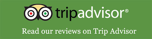 Read our trip advisor reviews